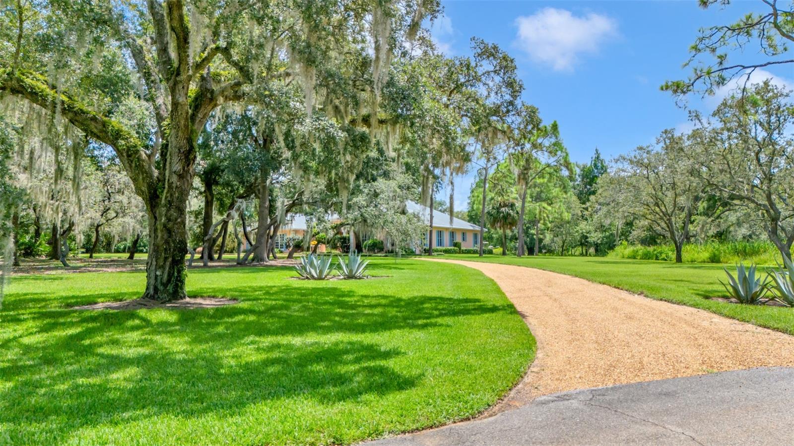 Listing photo id 12 for 116 Mountain Lake