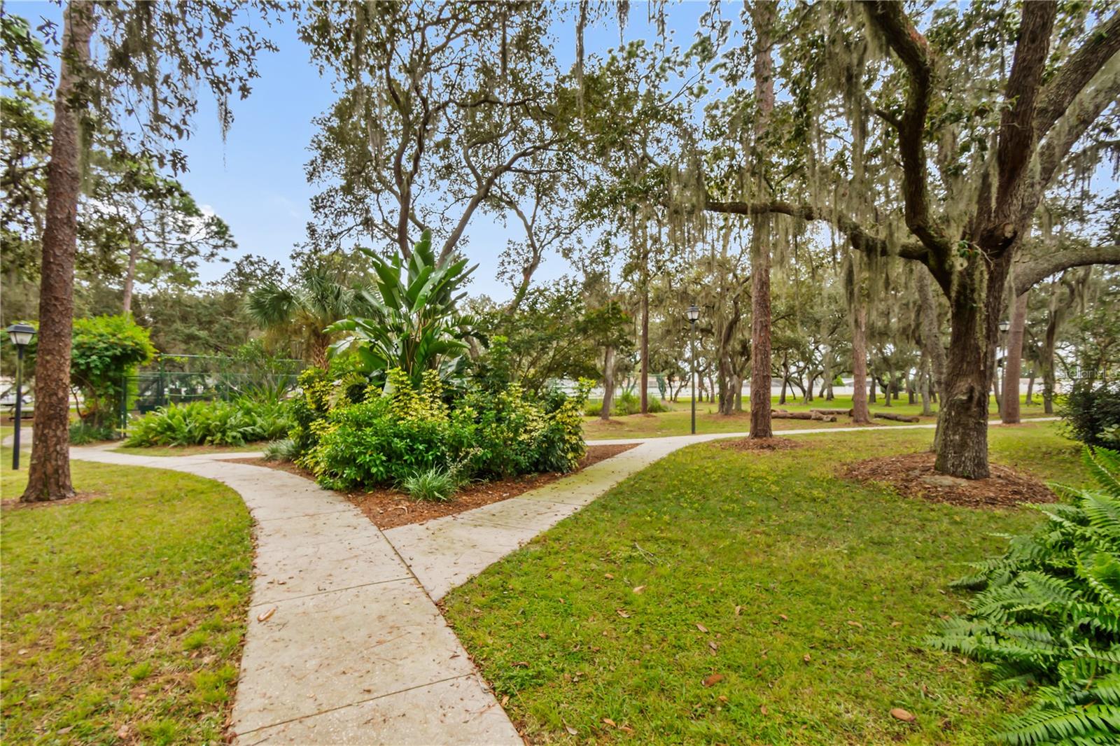 Image 31 of 34 For 7811 Myrtle Oak Lane