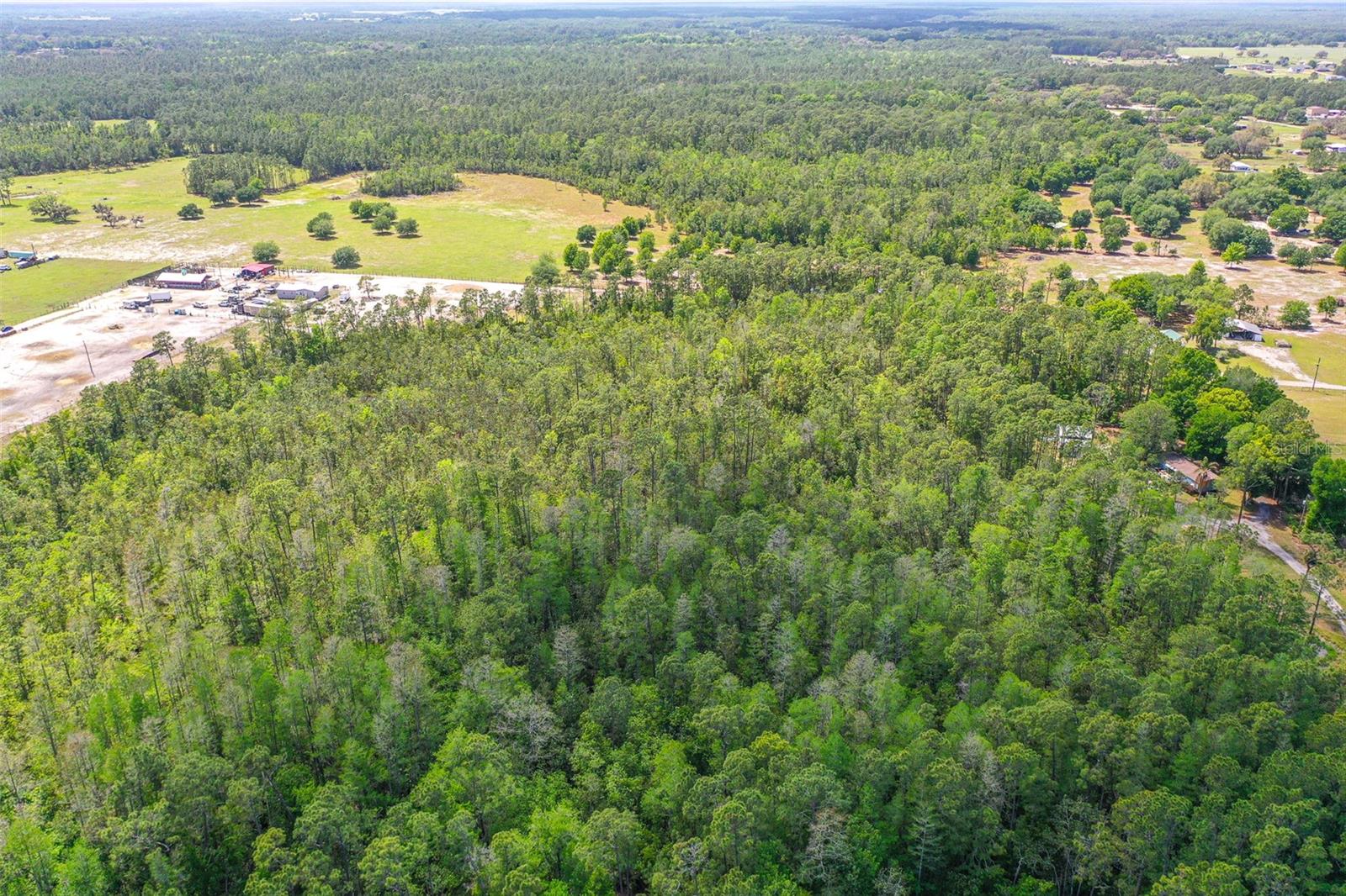 Image 10 of 37 For 17822 Commonwealth Avenue N