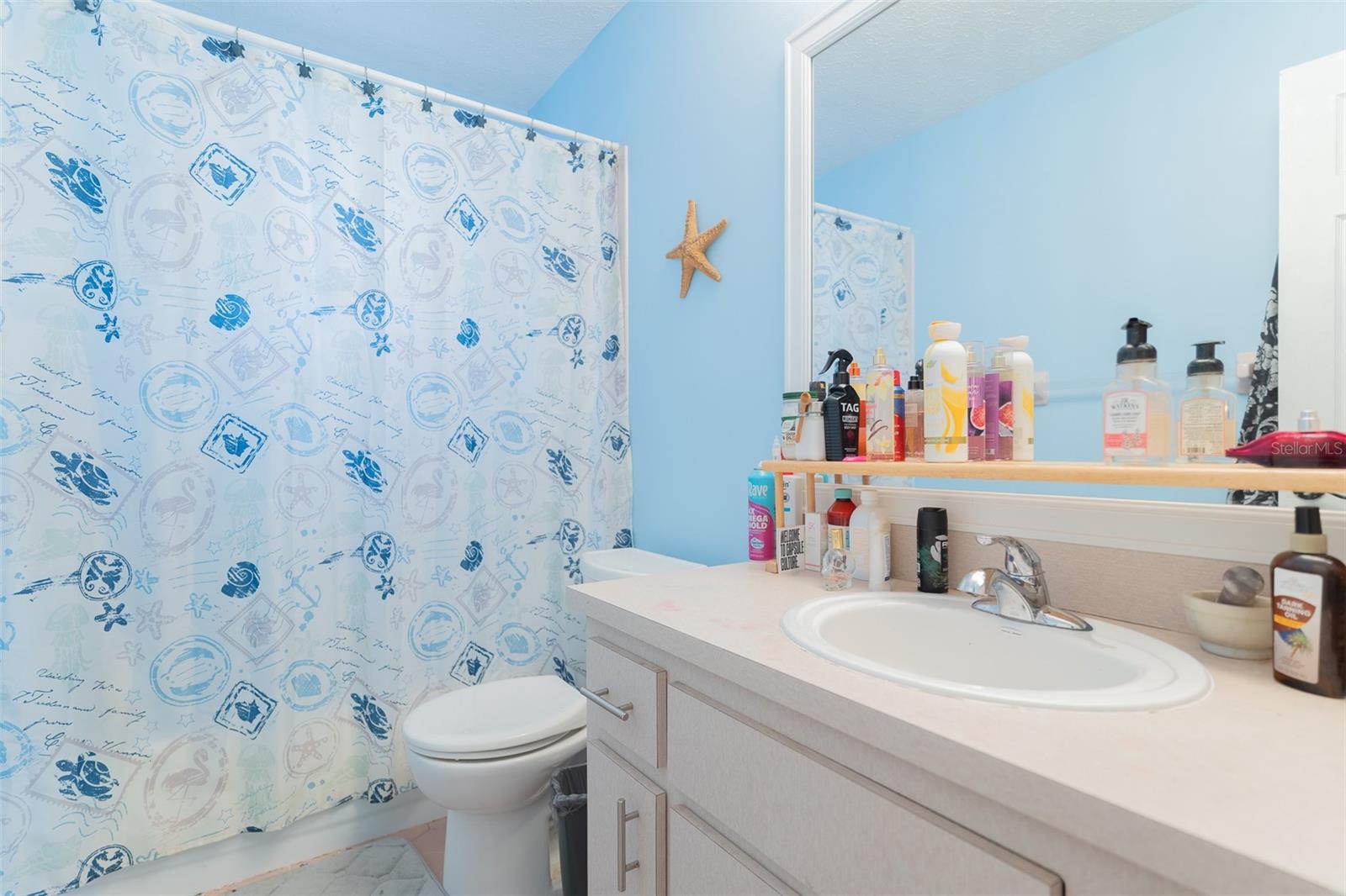 Image 12 of 25 For 17 Notre Dame Street