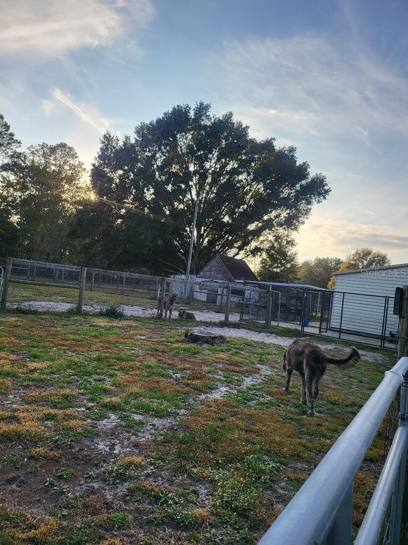 Image 29 of 47 For 2640 Ranchland Acres Road