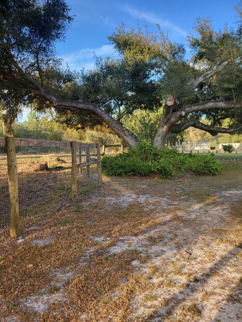 Image 42 of 47 For 2640 Ranchland Acres Road