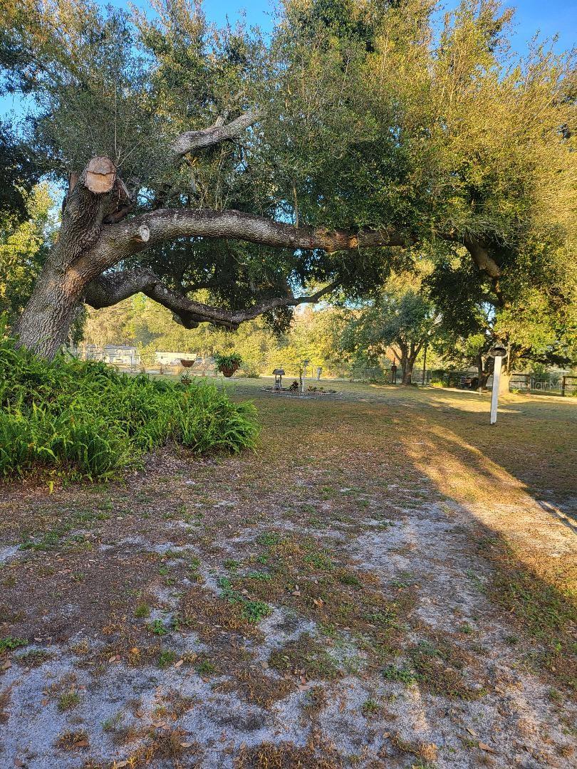 Image 43 of 47 For 2640 Ranchland Acres Road