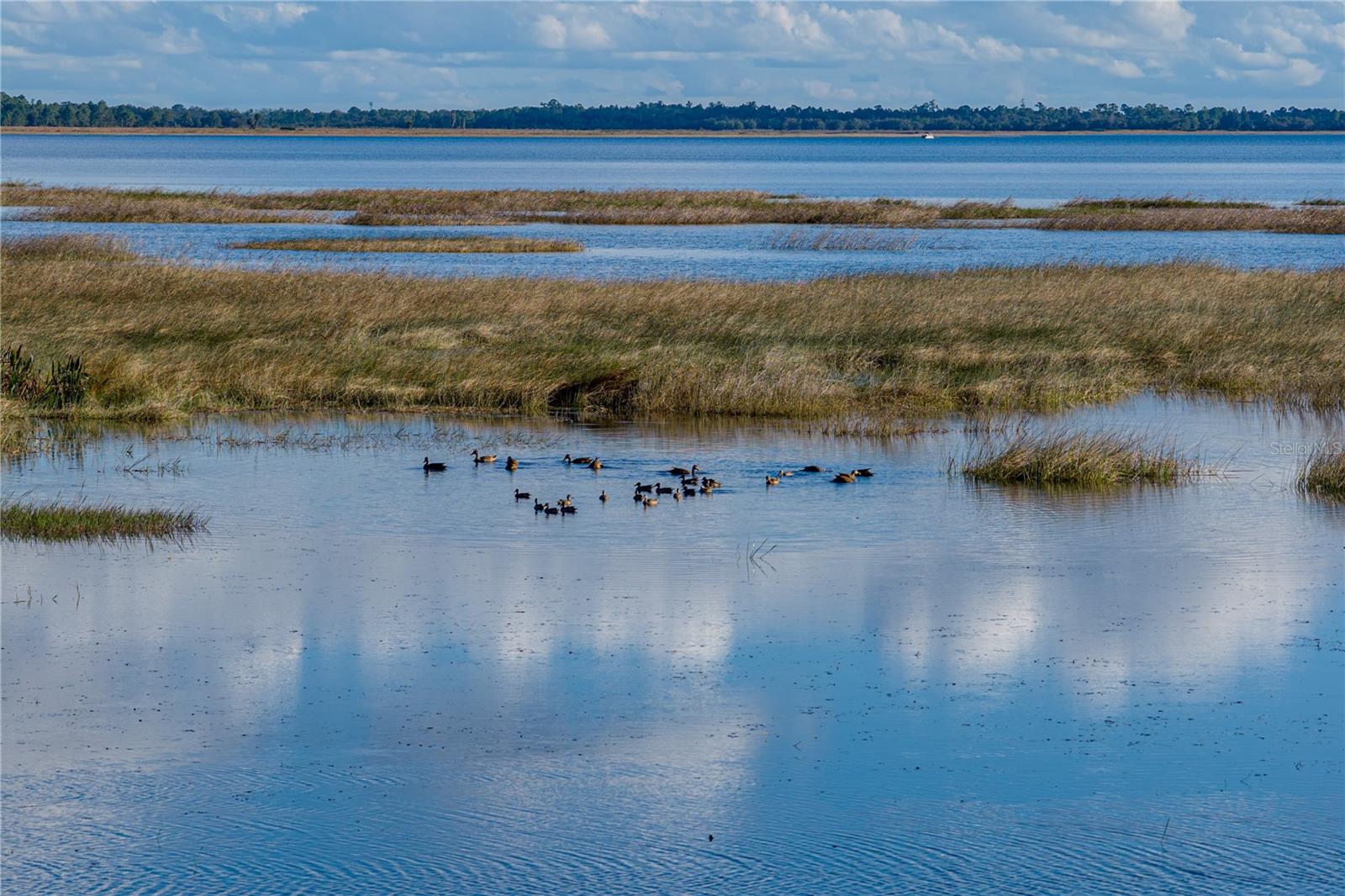 Image 79 of 85 For 344 Sunshine Drive