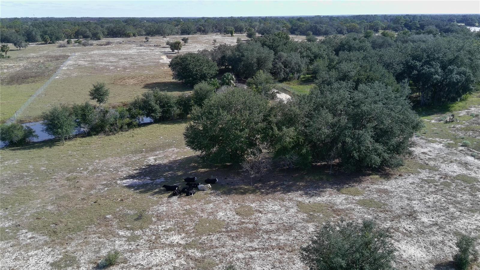 Image 21 of 30 For 4547 Glenn Saint Mary Road