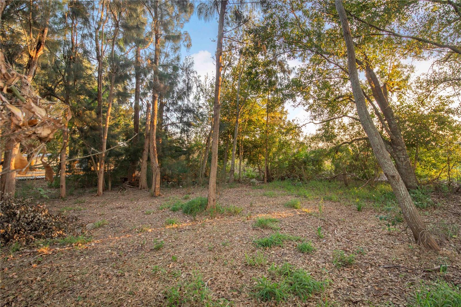 Image 24 of 30 For 2747 Old Bartow Road