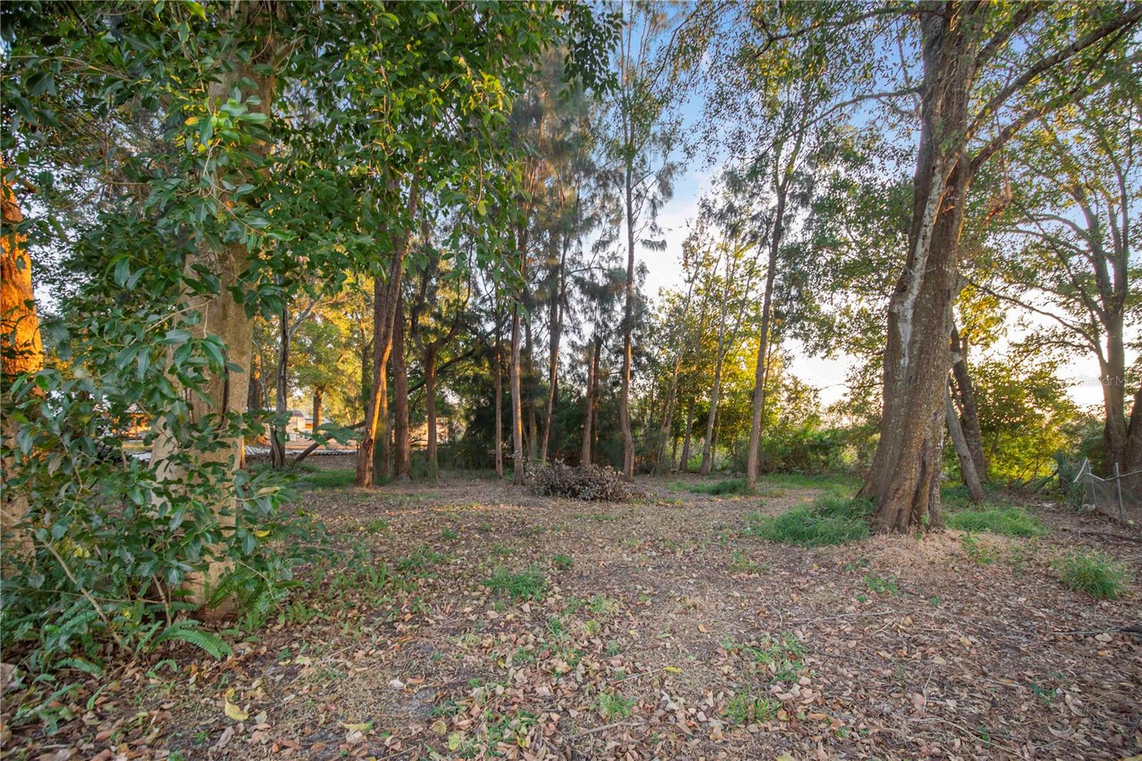 Image 25 of 30 For 2747 Old Bartow Road