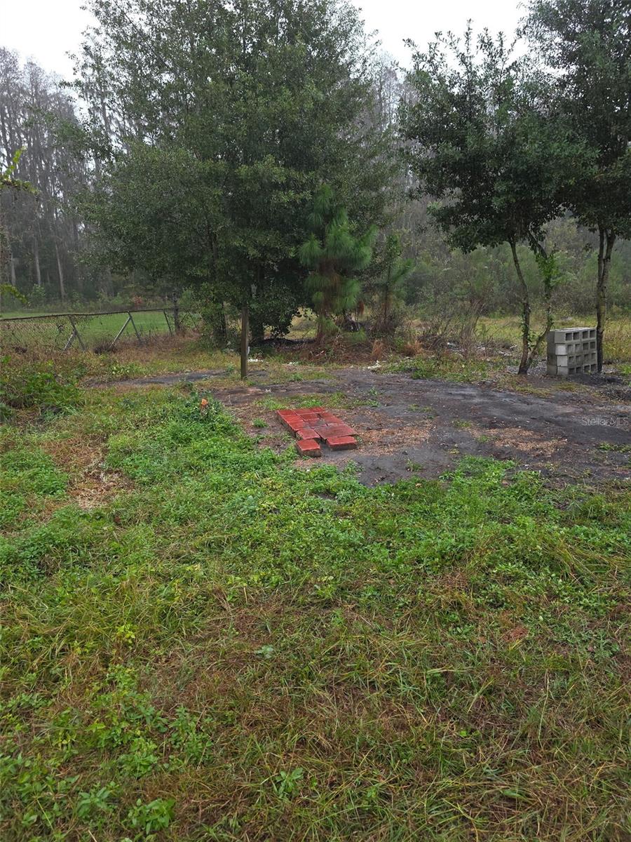 Image 10 of 11 For 9115 Pine Tree Drive