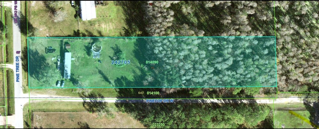 Image 7 of 11 For 9115 Pine Tree Drive