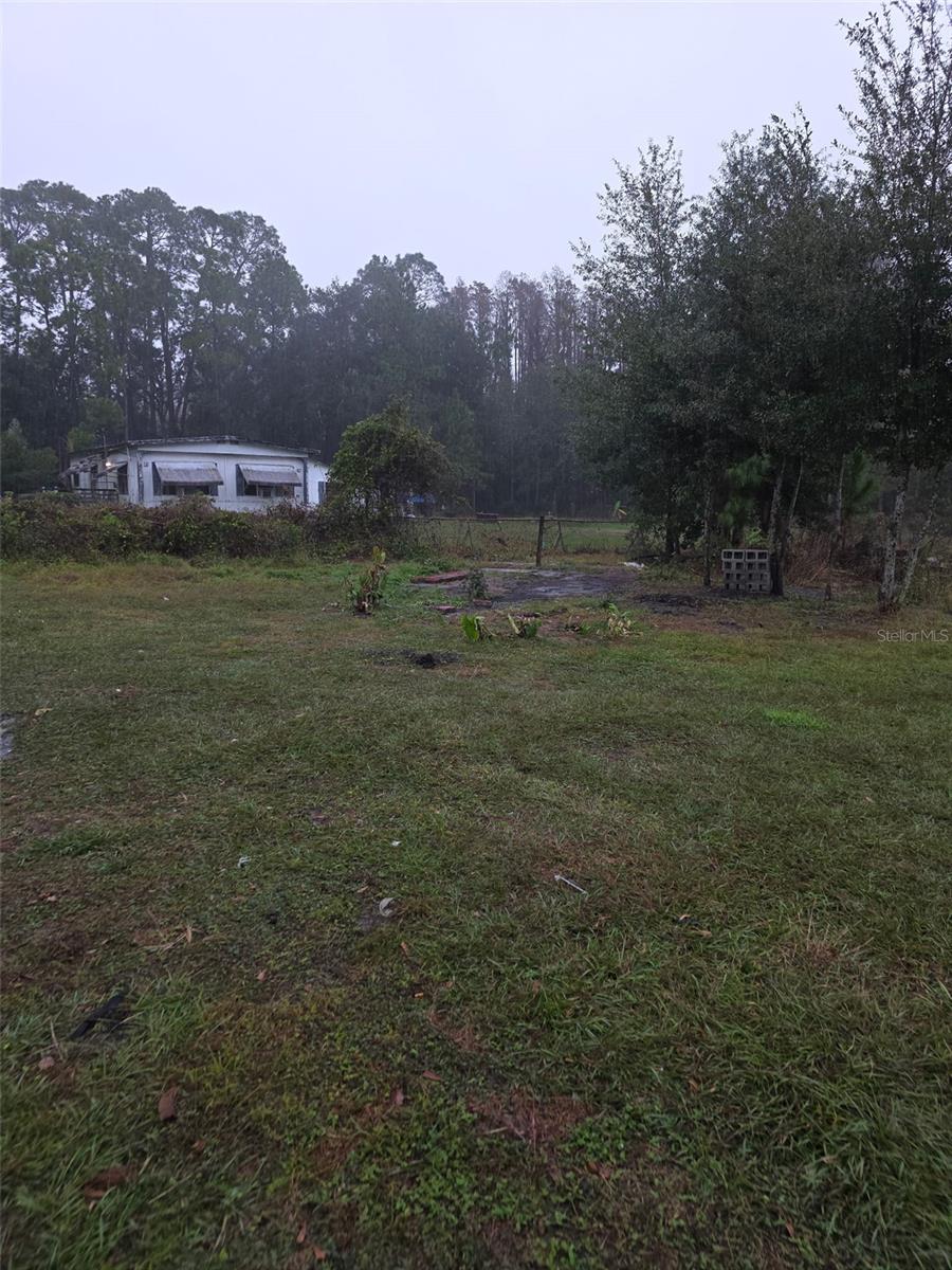 Image 8 of 11 For 9115 Pine Tree Drive