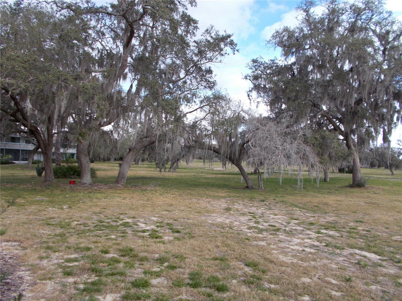 Image 23 of 23 For 543 Maple Leaf Court 543