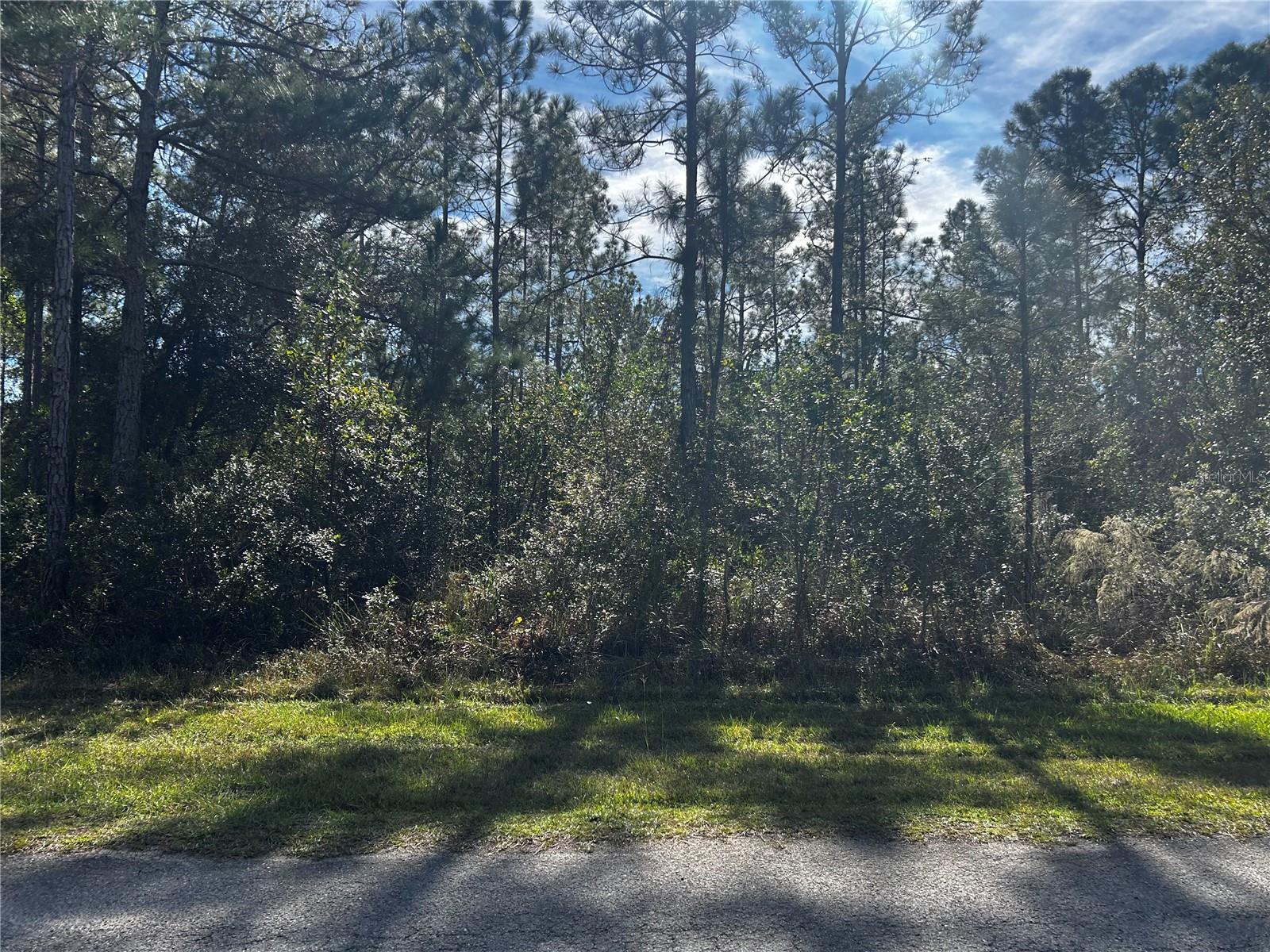 Details for 207 Gardenia Drive, LAKE WALES, FL 33855