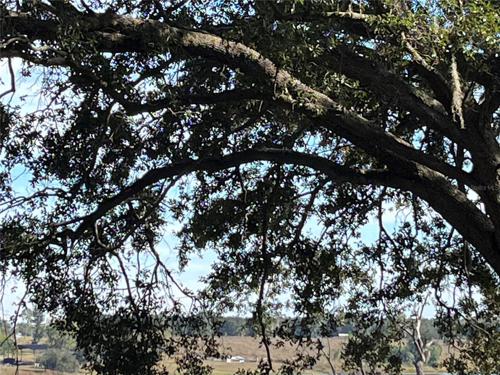 Image 4 of 14 For 0 Central Avenue