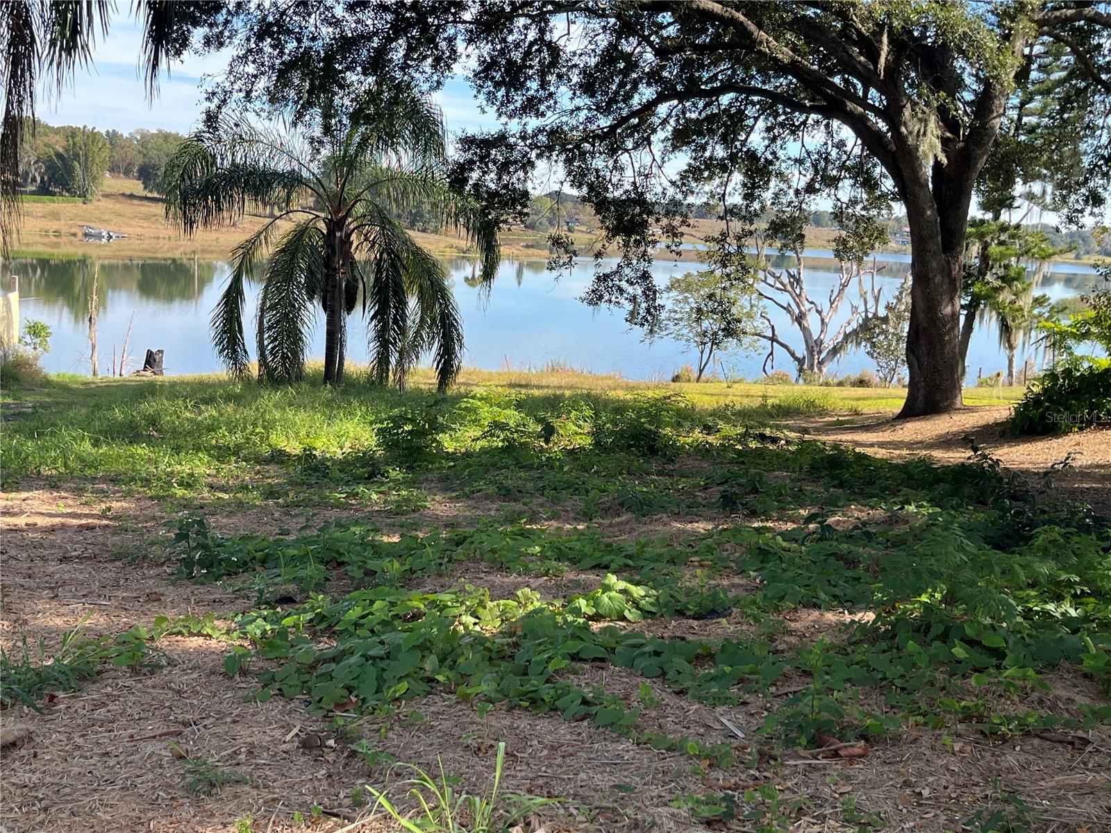 Image 6 of 14 For 0 Central Avenue