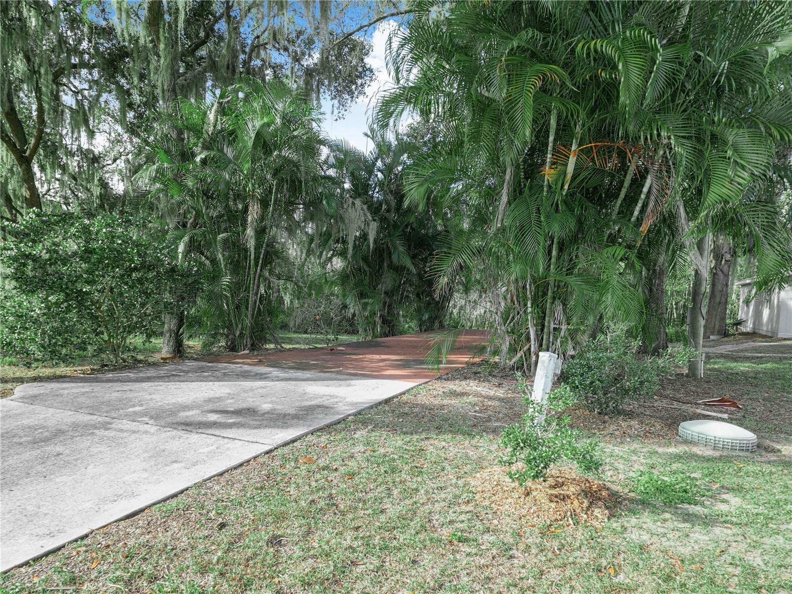 Image 32 of 36 For 100 Reedy Creek Drive