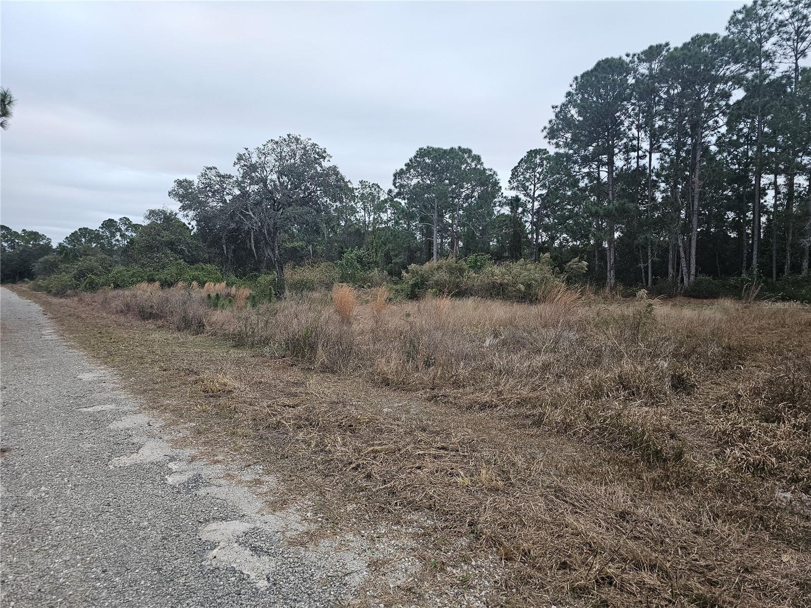 Image 3 of 7 For 3348 Dorado Avenue