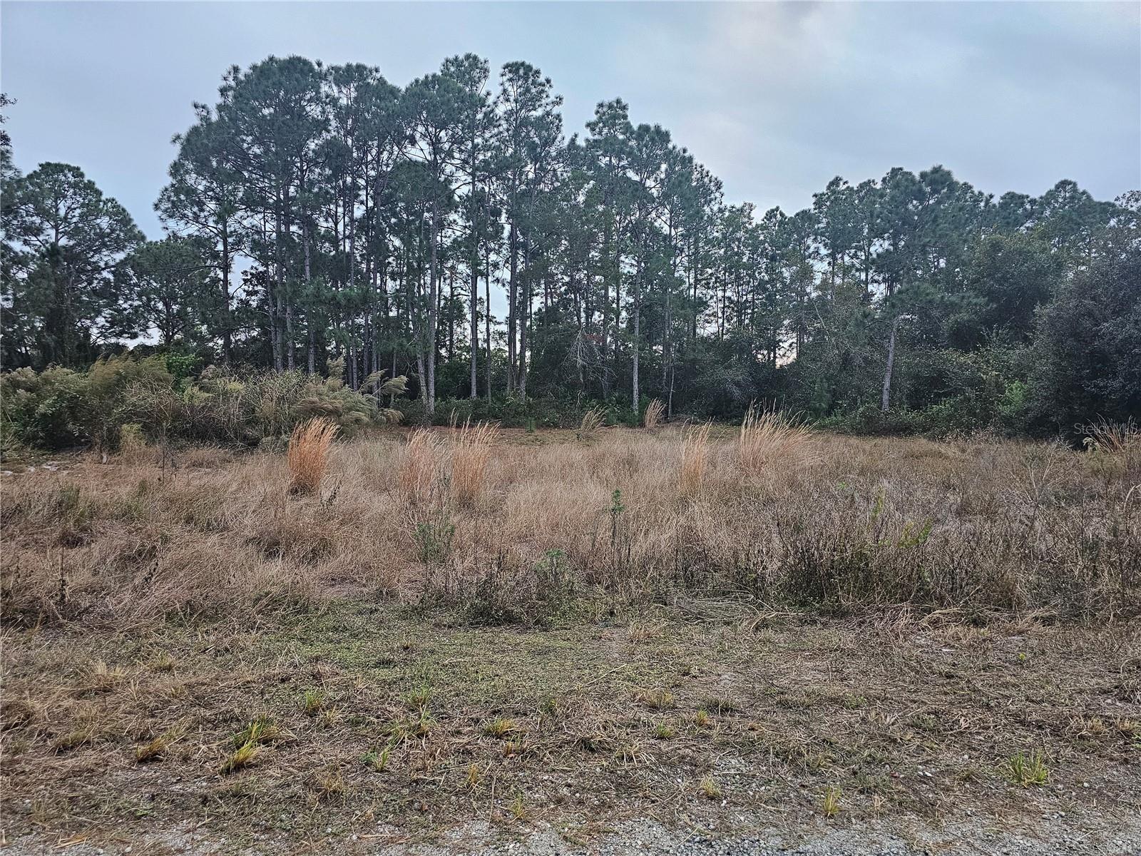 Image 5 of 7 For 3348 Dorado Avenue