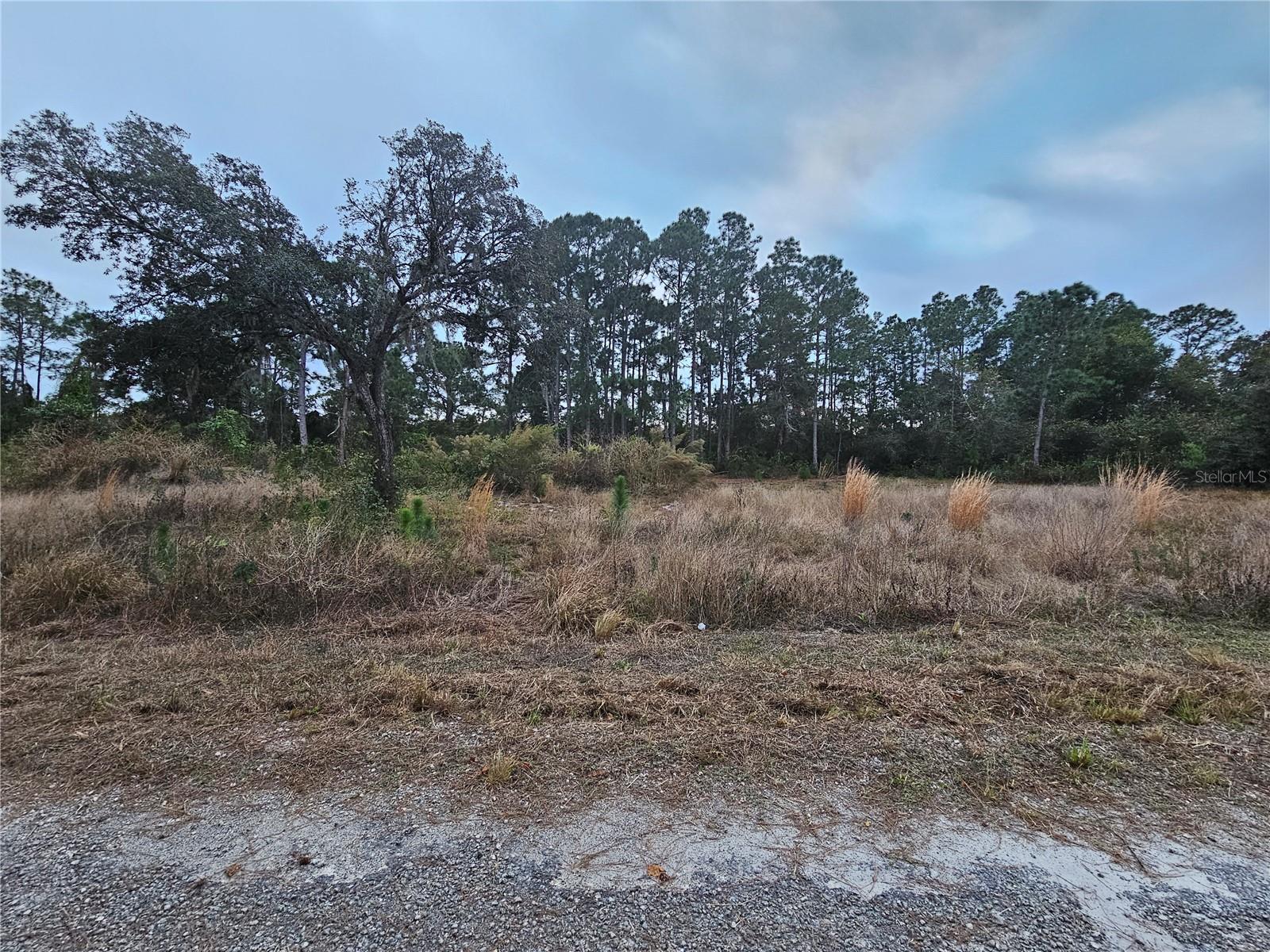 Image 7 of 7 For 3348 Dorado Avenue