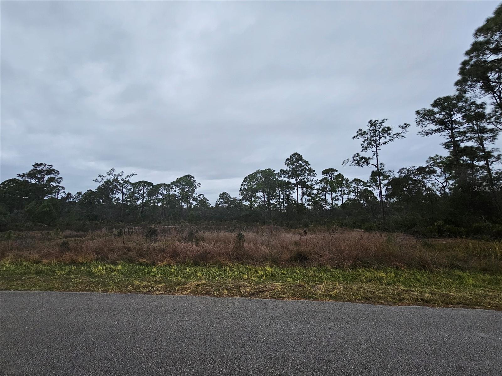 Image 4 of 8 For 3129 Locust Avenue