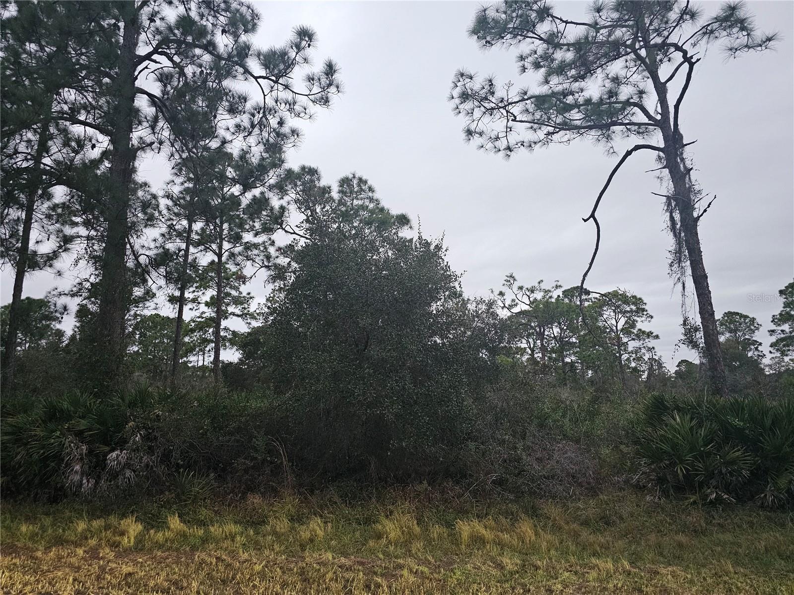 Image 5 of 8 For 3129 Locust Avenue