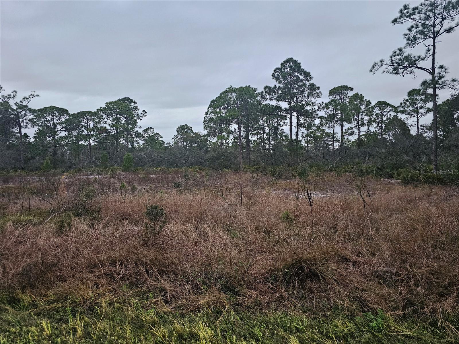 Image 6 of 8 For 3129 Locust Avenue