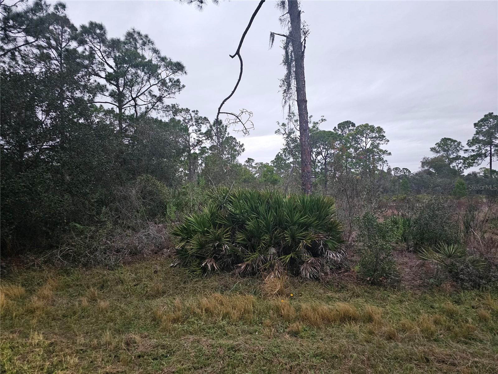 Image 7 of 8 For 3129 Locust Avenue