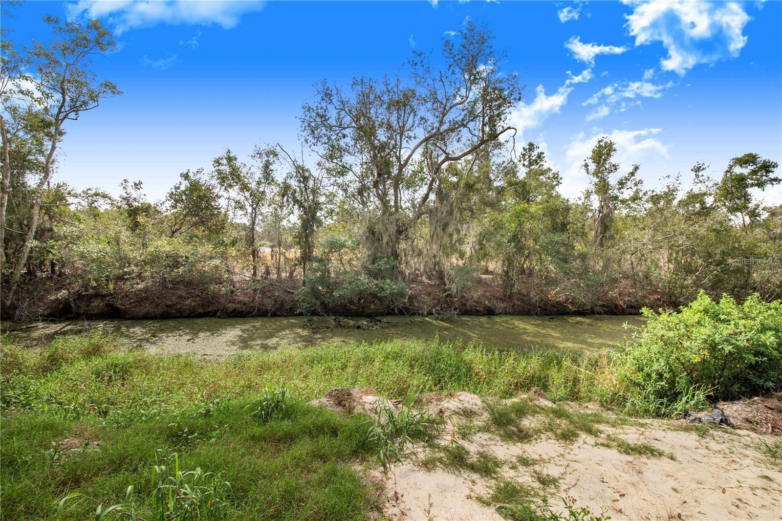 Image 5 of 24 For 1252 Alligator Alley