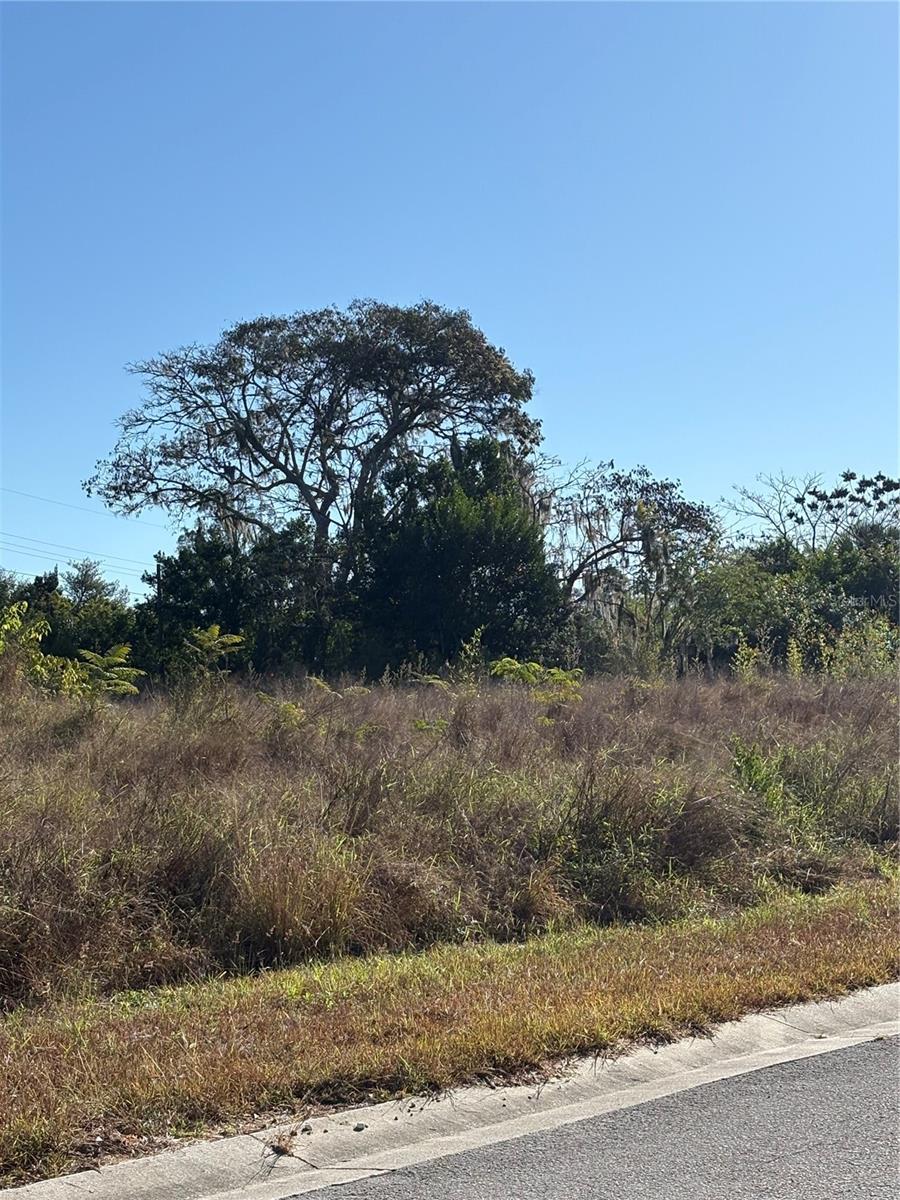 Image 6 of 7 For 128 5th Avenue