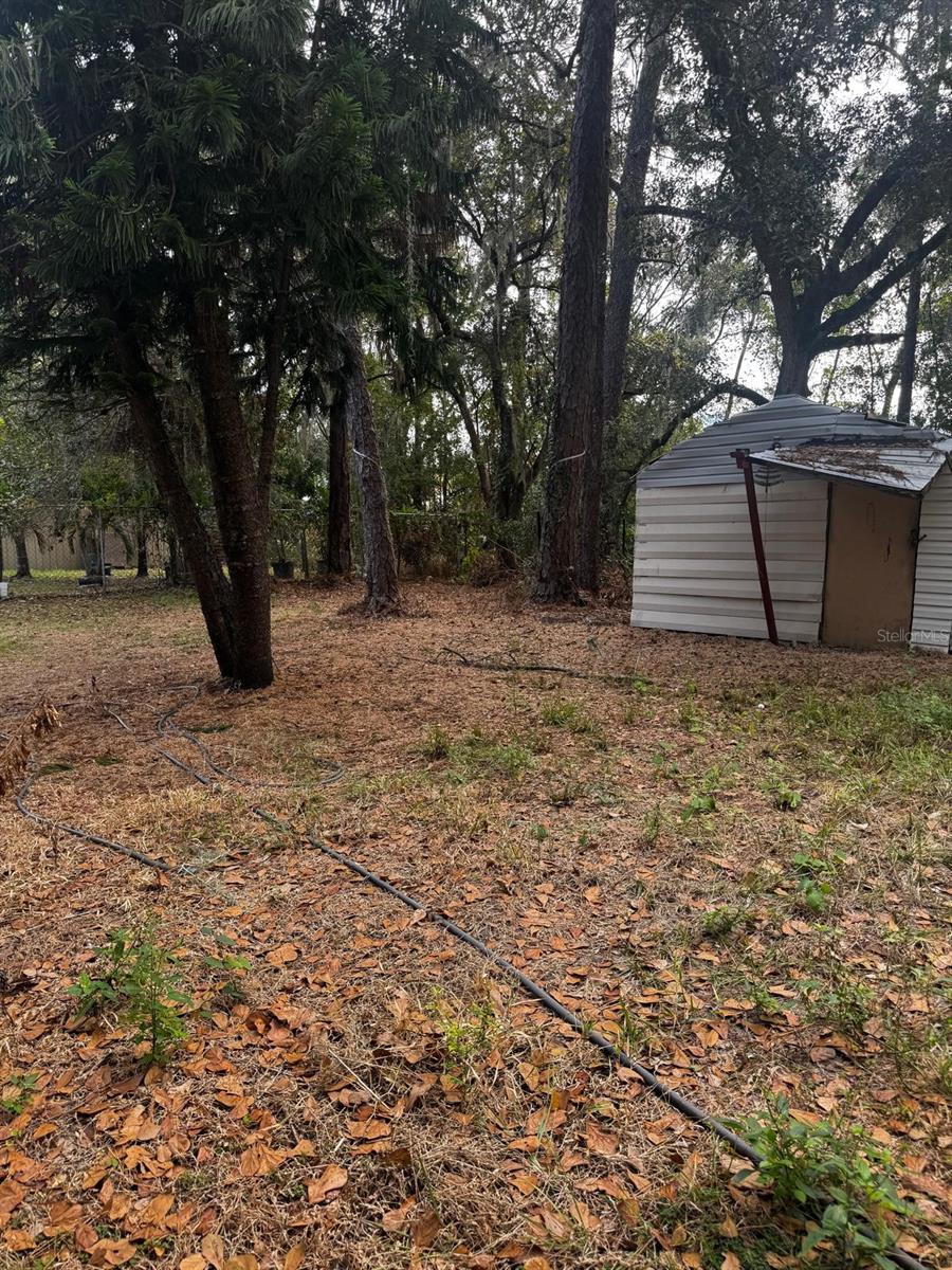 Image 23 of 27 For 120 3rd Wahneta Street W