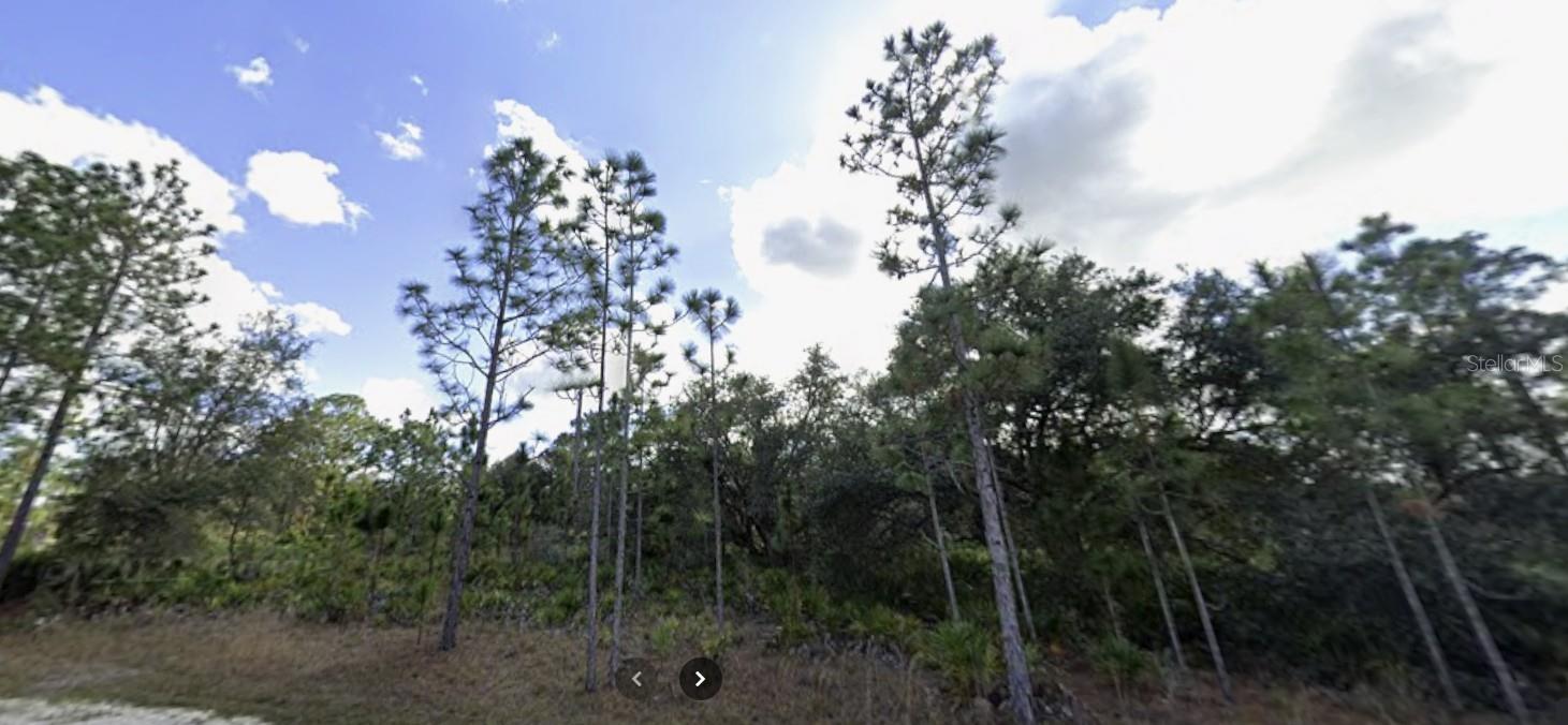 Details for 703 Gardenia Drive, INDIAN LAKE ESTATES, FL 33855