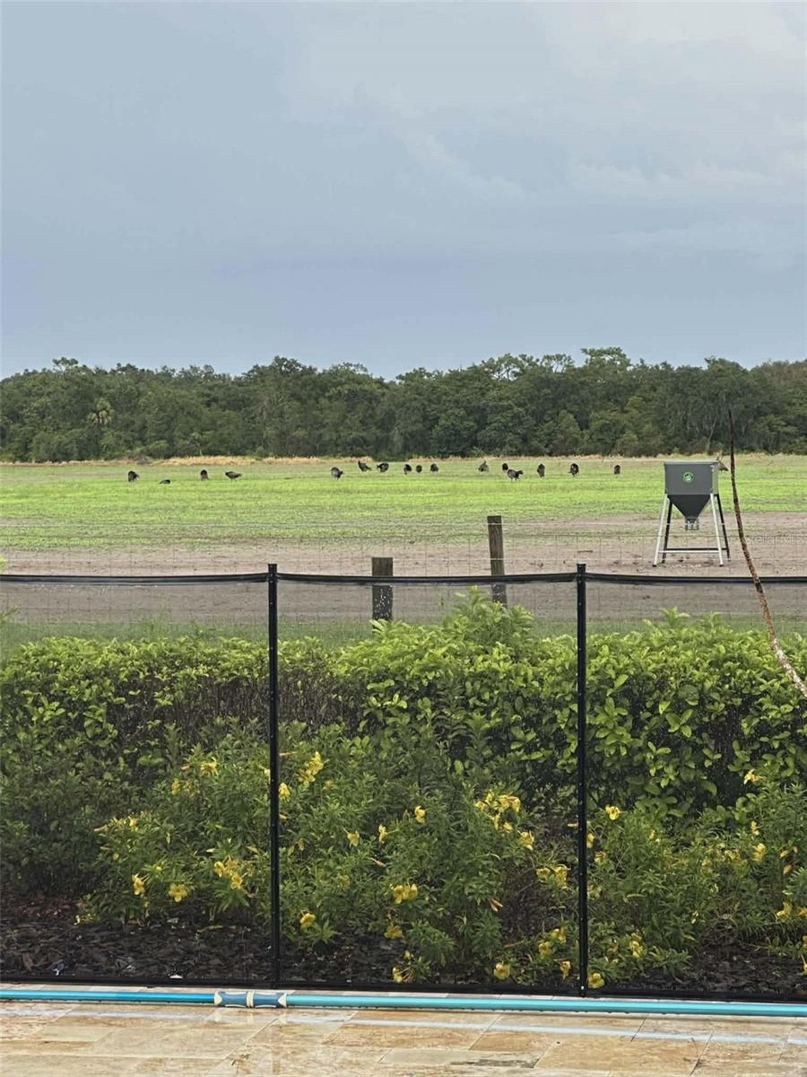 Image 80 of 84 For 7053 George Marsh Road