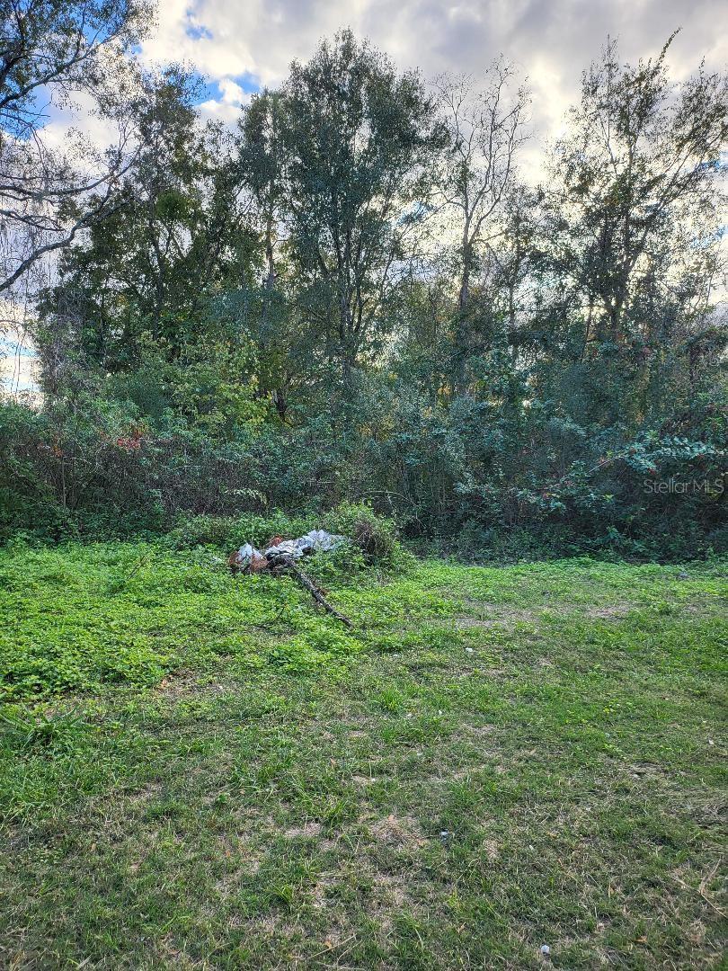 Image 4 of 11 For 2220 Ellie Road B