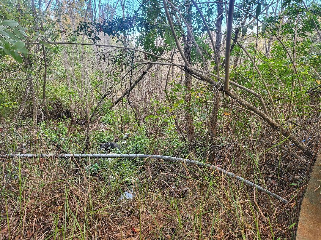 Image 6 of 11 For 2220 Ellie Road B