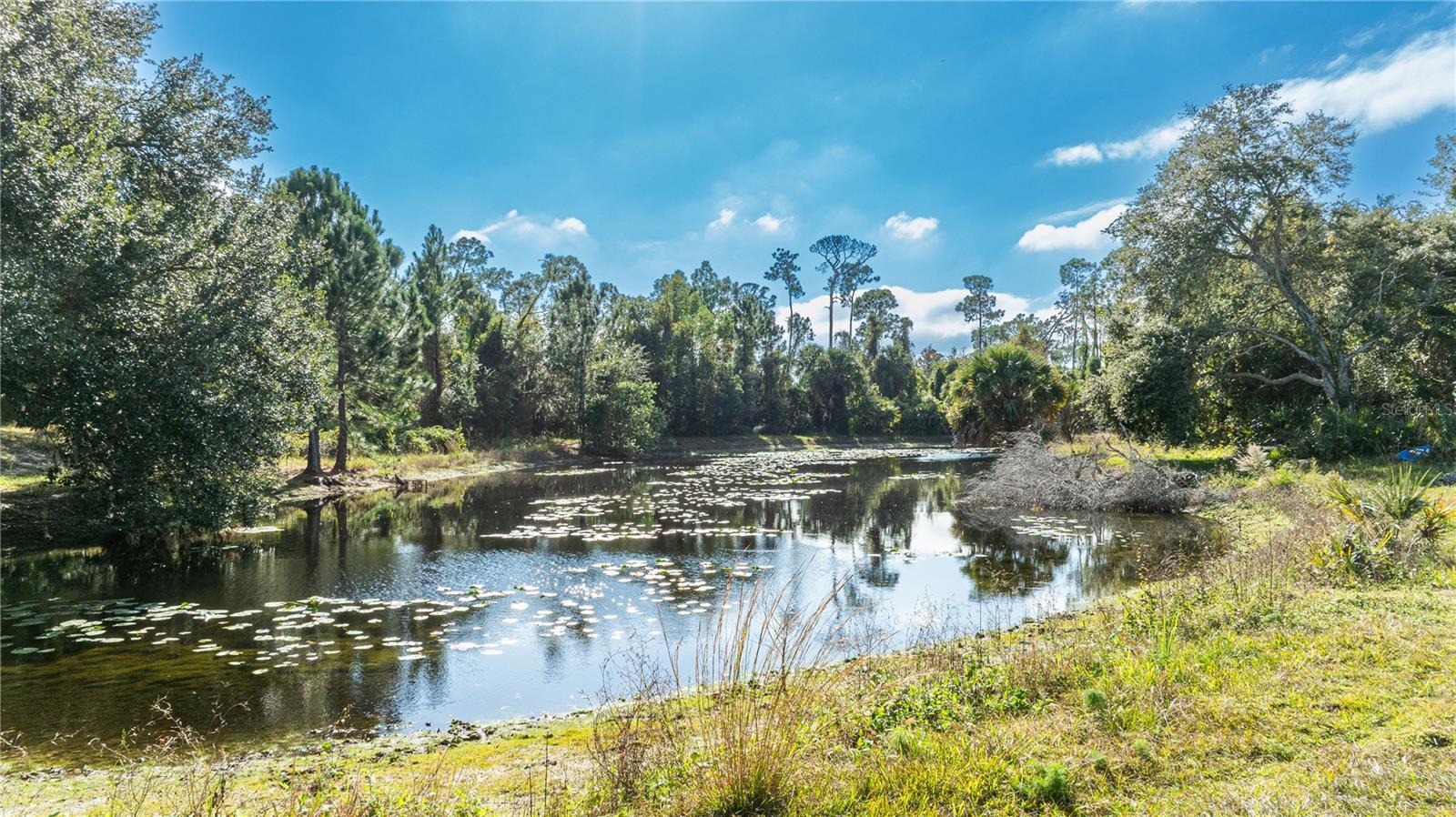 Image 19 of 55 For 7970 Bannon Fish Camp Road