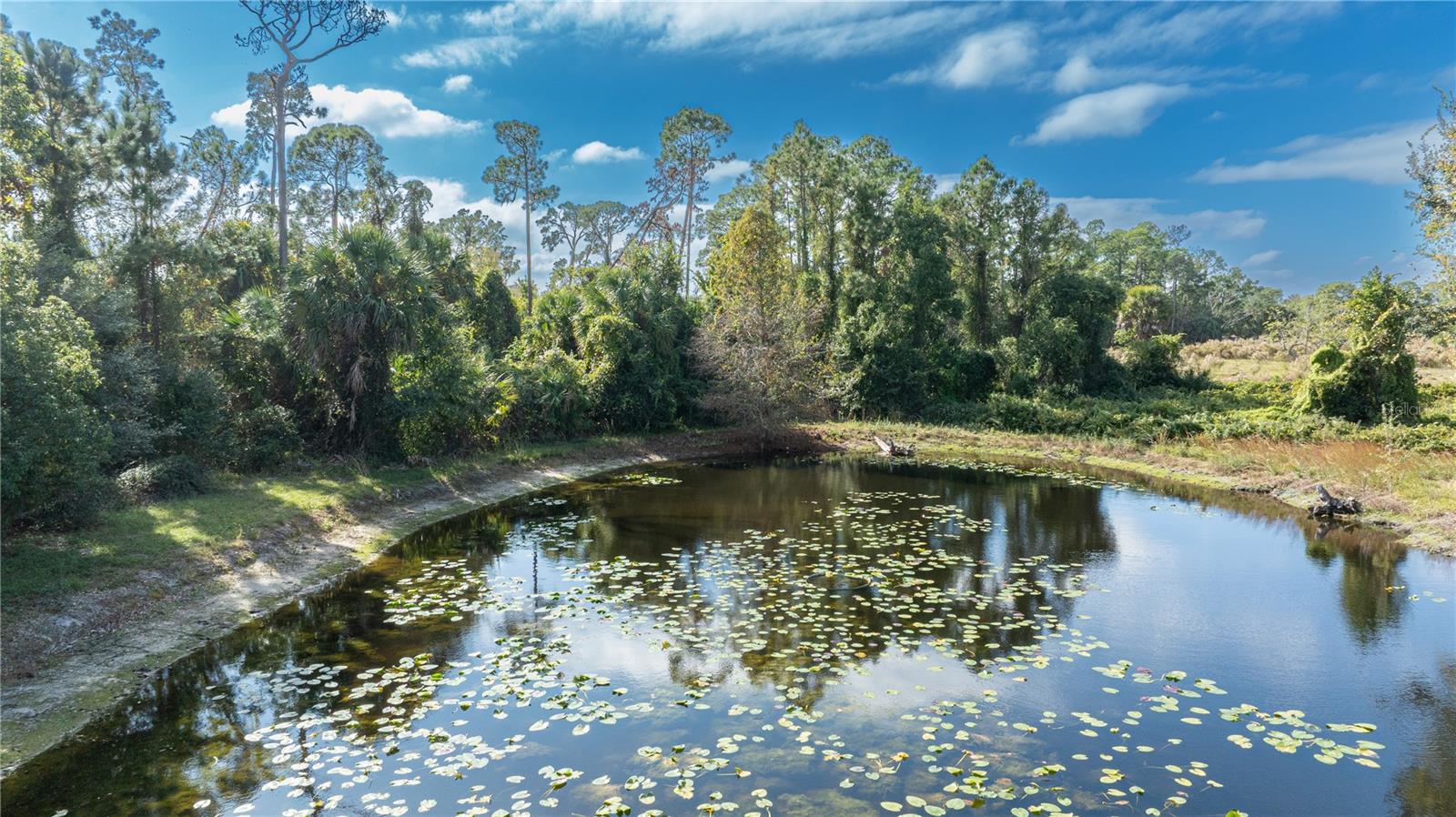 Image 35 of 55 For 7970 Bannon Fish Camp Road