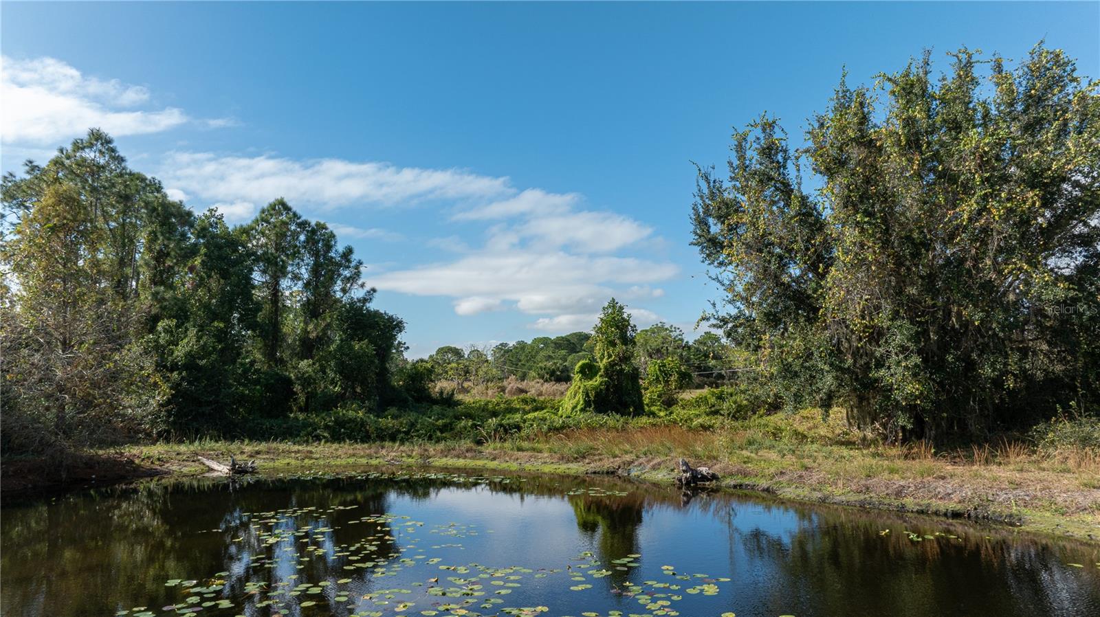 Image 38 of 55 For 7970 Bannon Fish Camp Road