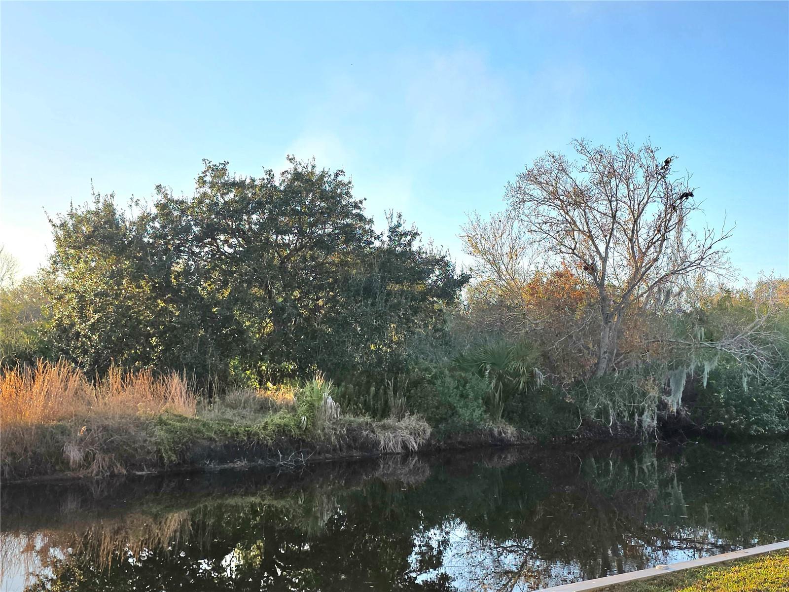 Image 8 of 24 For 34 Appaloosa Trail