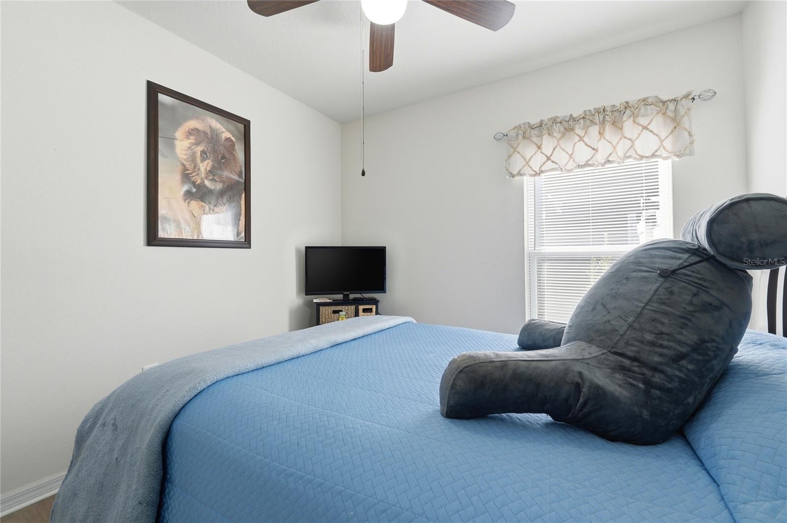 Image 46 of 50 For 125 Tanager Street