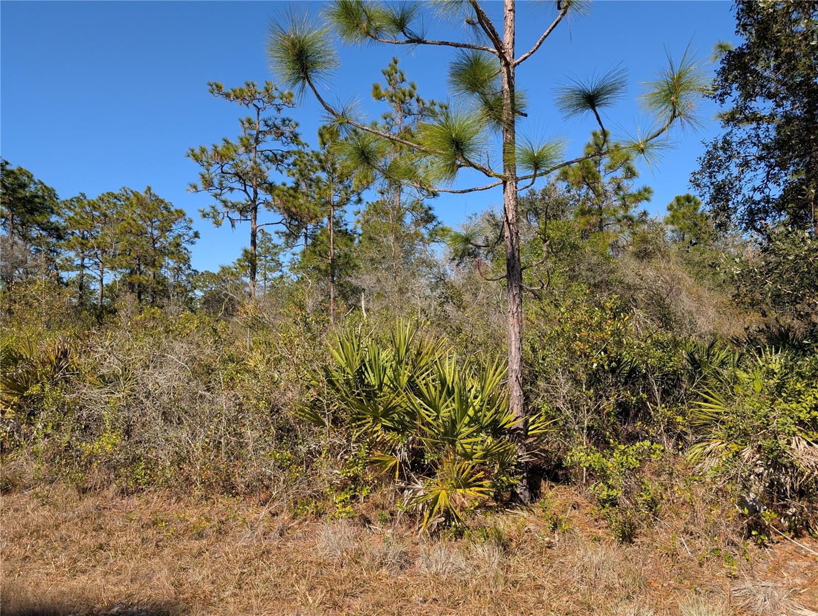 Details for 612 Magnolia Drive, INDIAN LAKE ESTATES, FL 33855