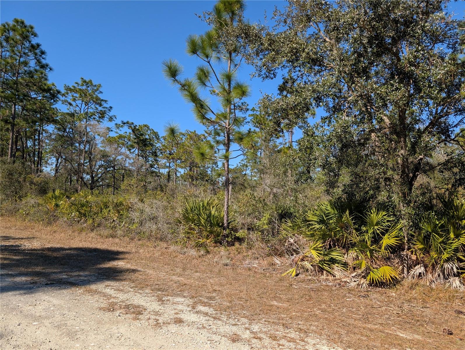 Image 2 of 41 For 612 Magnolia Drive