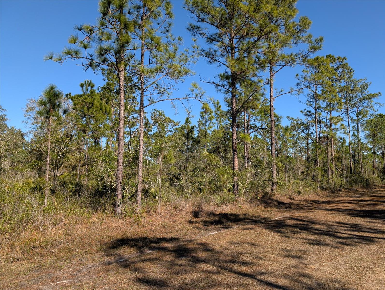 Details for 206 Ixora Drive, INDIAN LAKE ESTATES, FL 33855