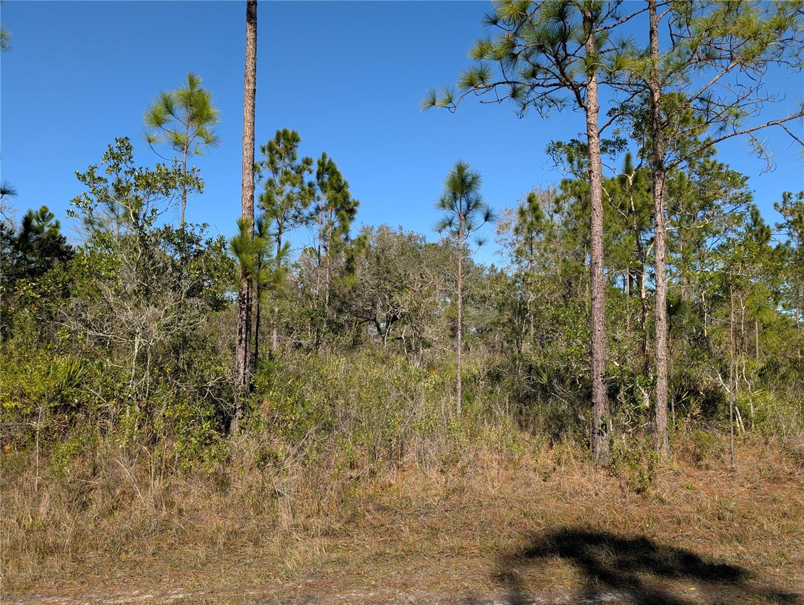 Image 5 of 42 For 206 Ixora Drive