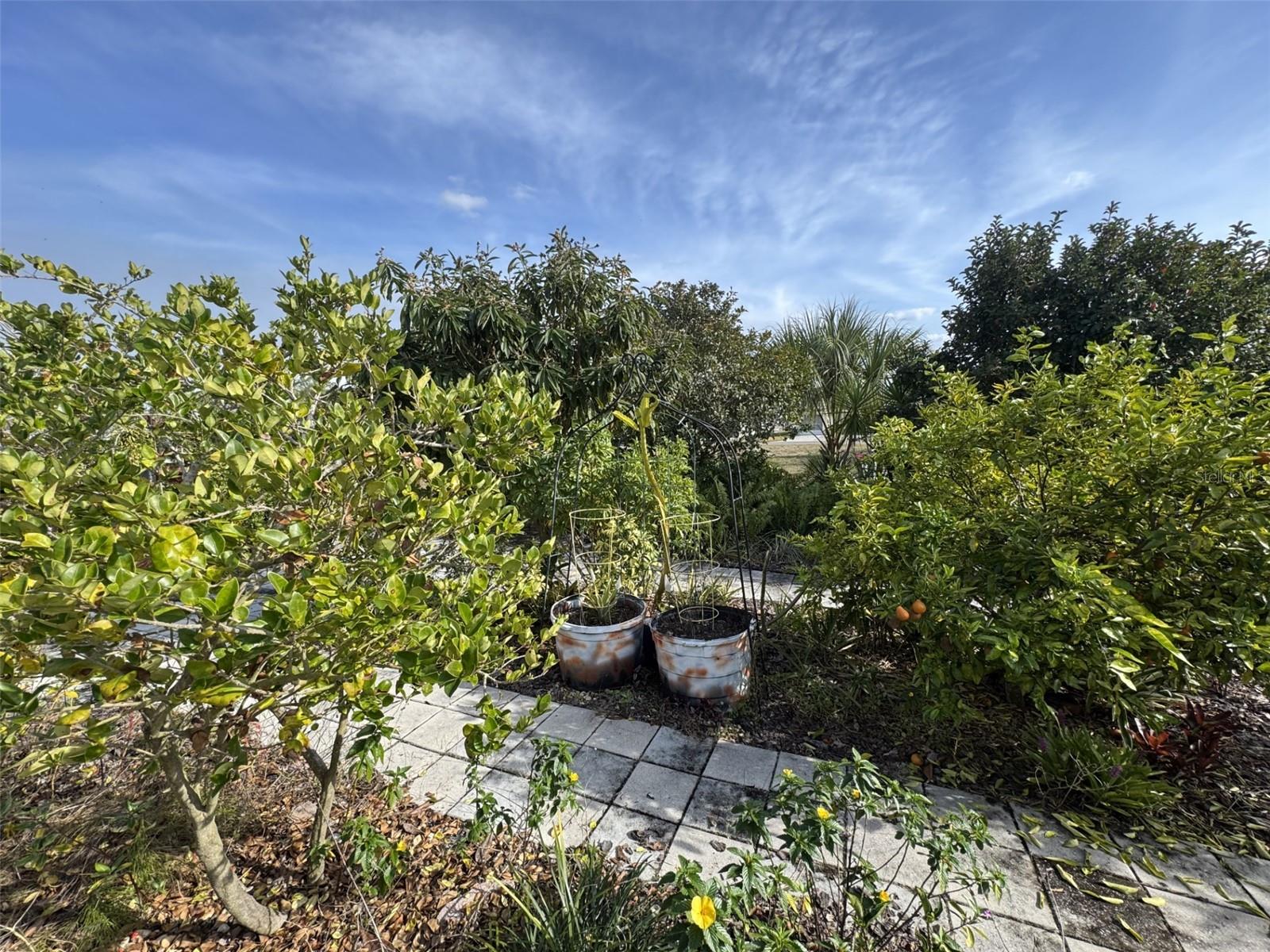 Image 21 of 55 For 7040 Tamarind Drive