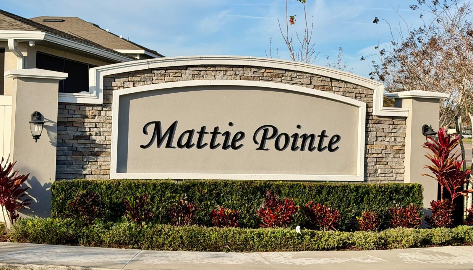 Image 43 of 45 For 1209 Mattie Pointe Boulevard