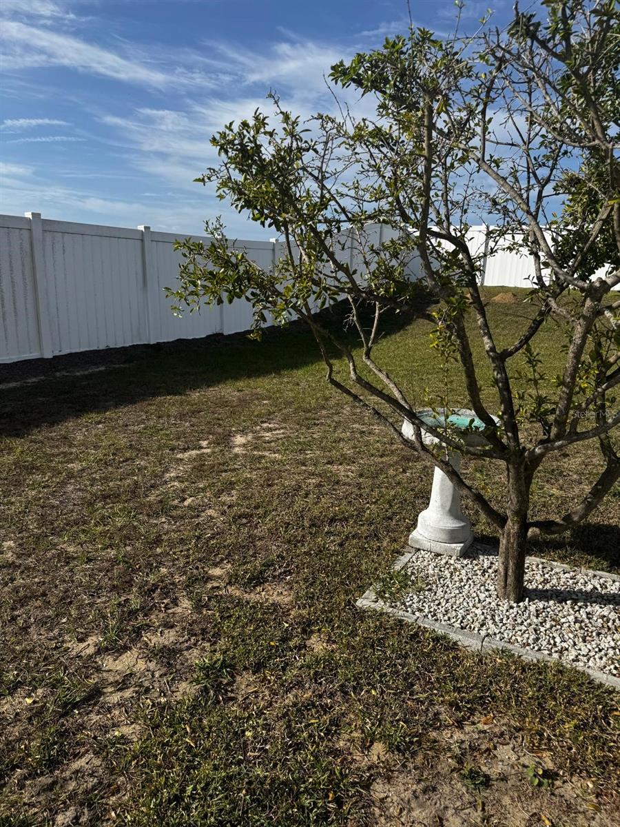 Image 12 of 13 For 3837 Spring Creek