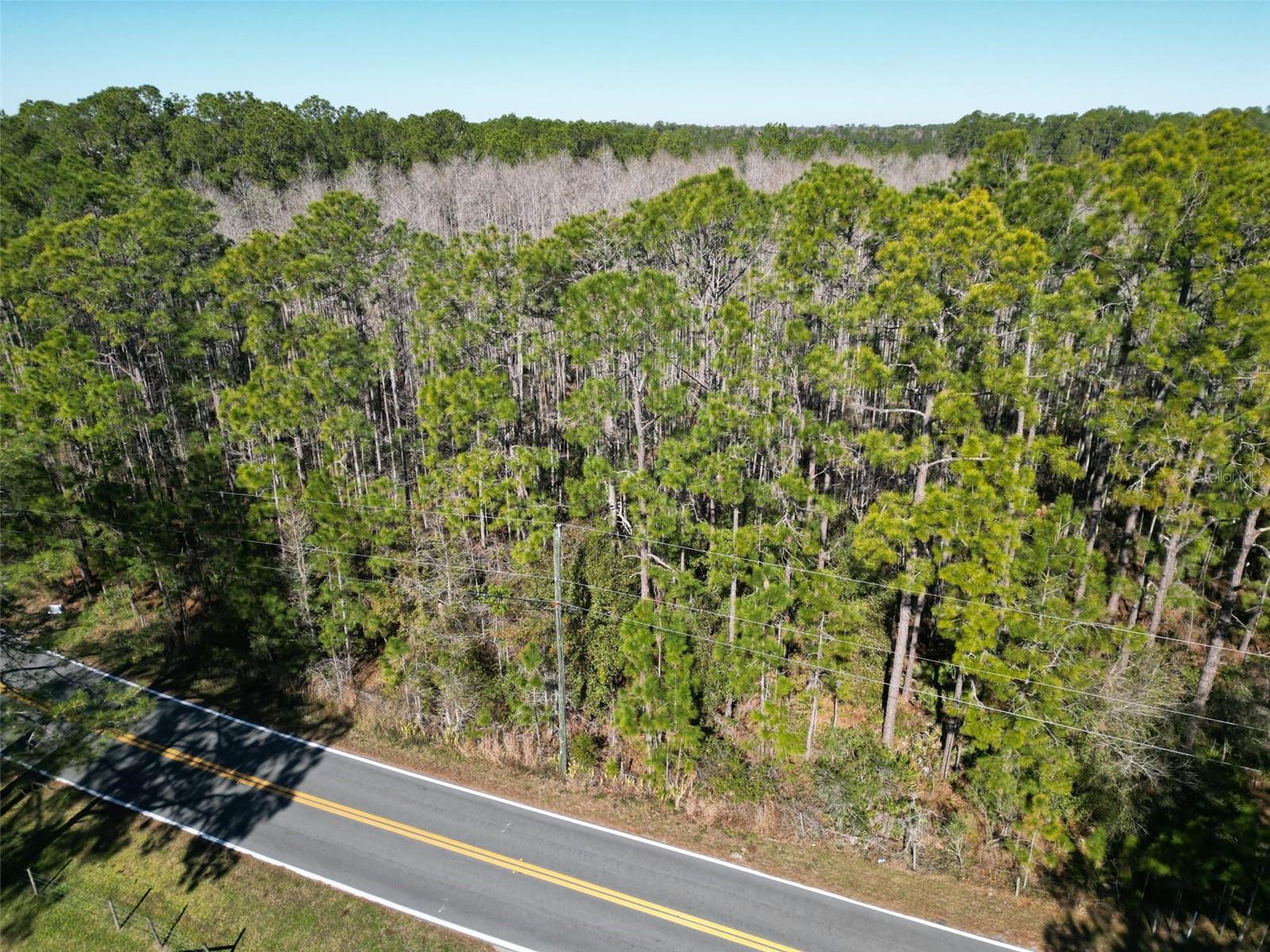 Details for Green Pond Road, POLK CITY, FL 33868