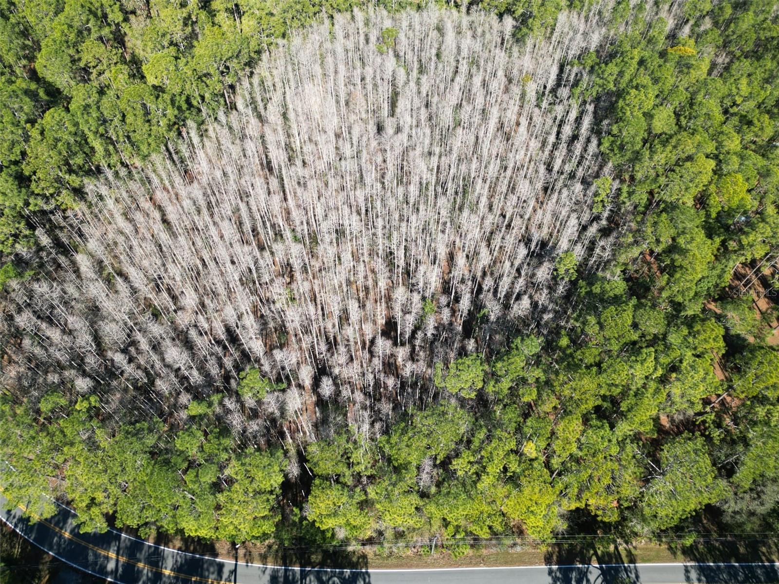 Image 3 of 8 For Green Pond Road