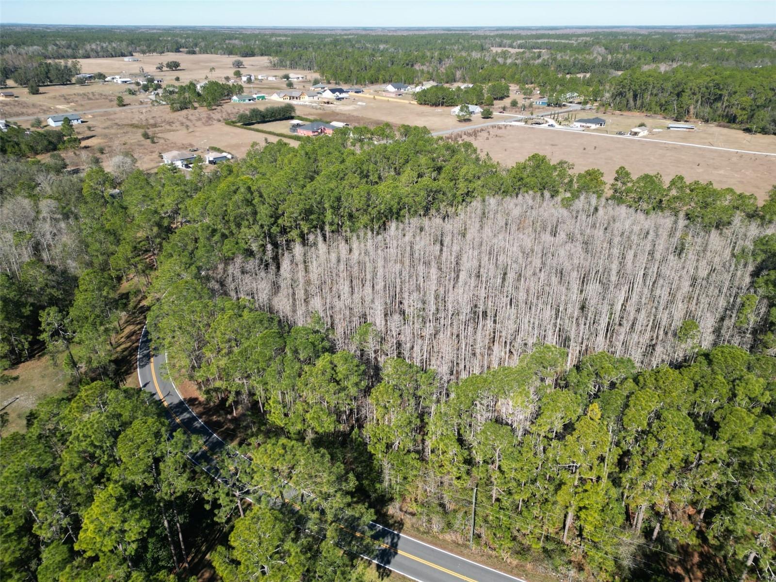 Image 5 of 8 For Green Pond Road