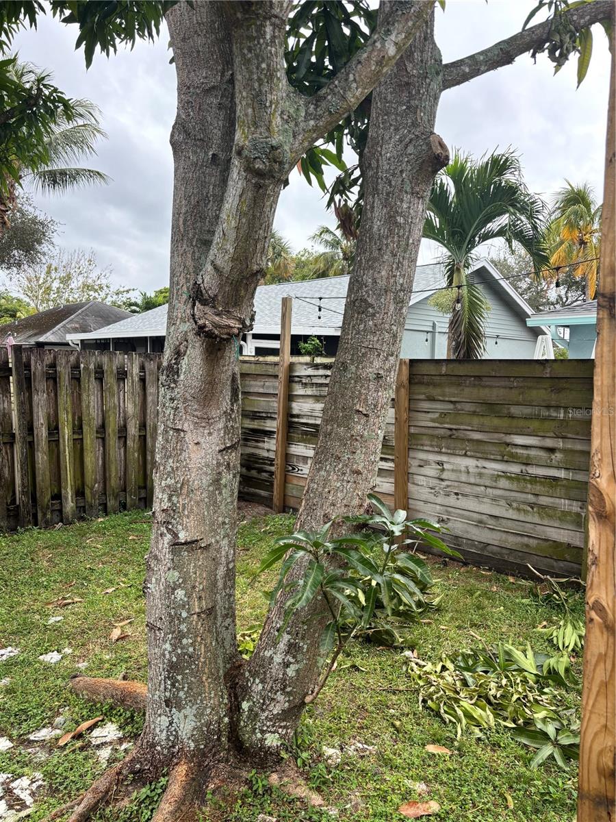 Image 29 of 32 For 14539 Wood Pine Drive 39