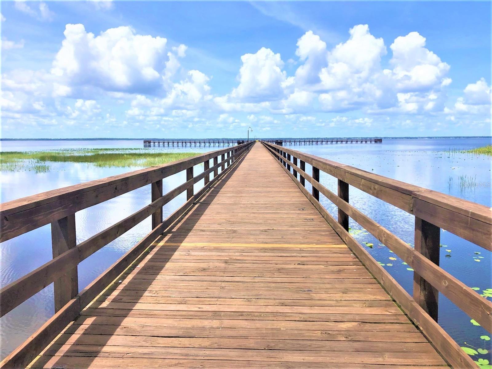 Image 17 of 46 For Althea Drive